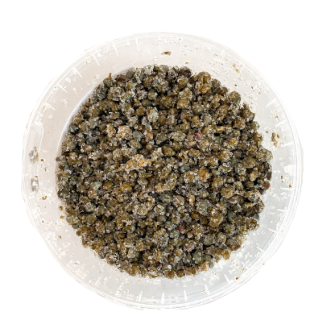 Lilliput Capers 1Kg
