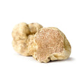Fresh White Winter Truffles